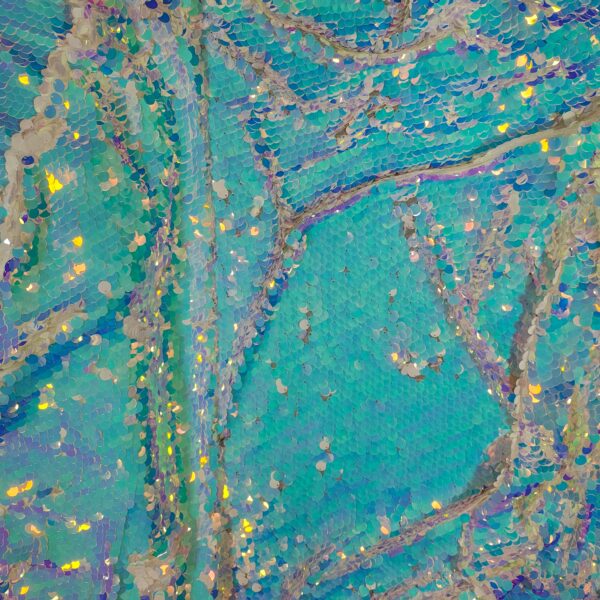Sequins-Chameleon