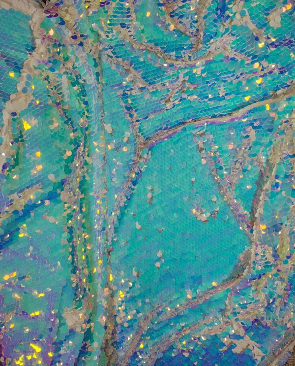 Sequins-Chameleon