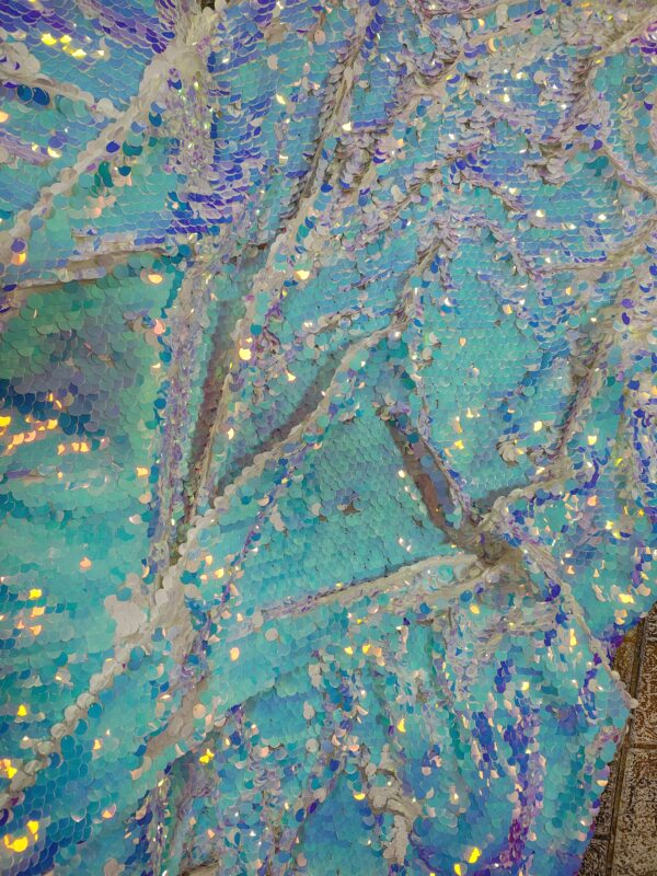 Sequins-Chameleon - Image 2